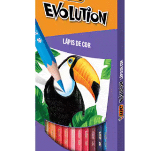 LAPIS DE COR 12C EVOLUTION BIC